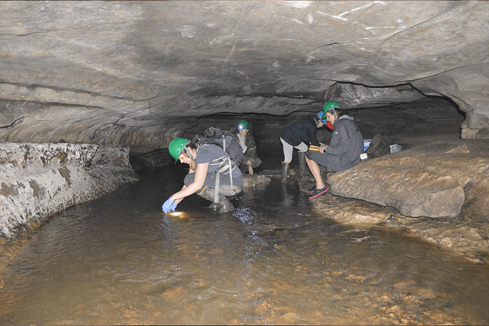 pro researchers gather samples in Cliff Cave to test for microplastics